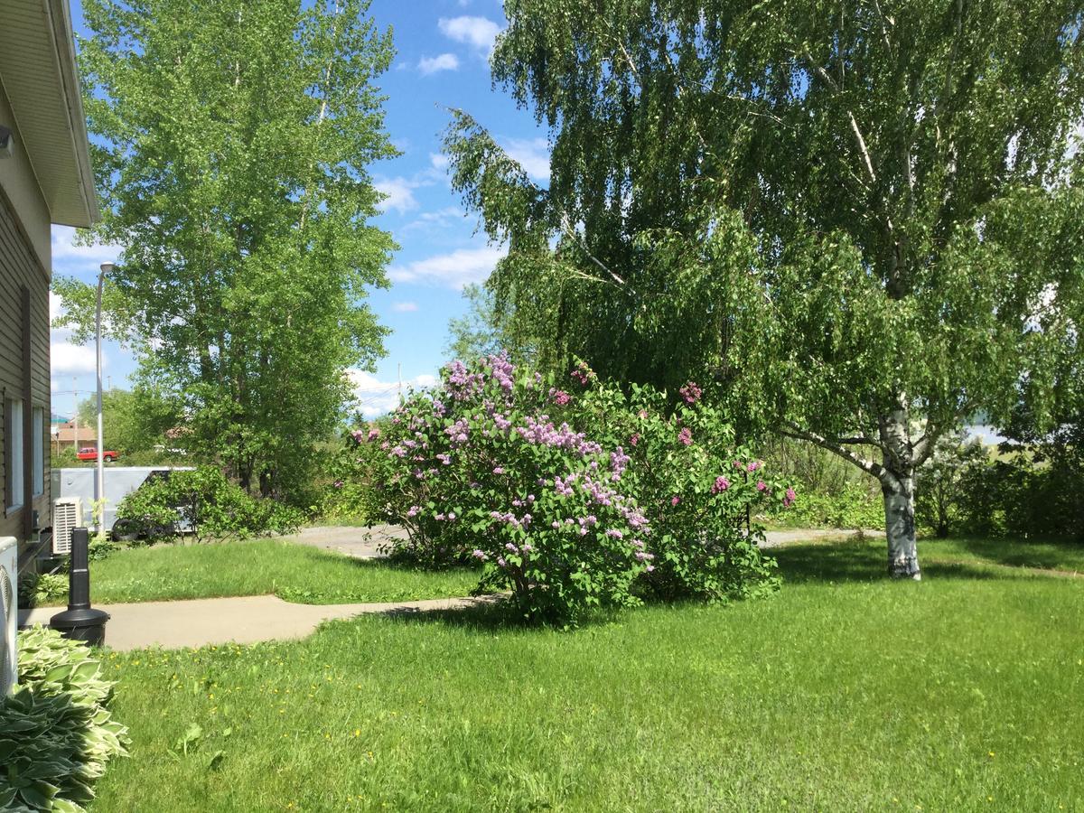 Motel Et Condo Chez Charley Sainte-Anne-de-Beaupré Zewnętrze zdjęcie